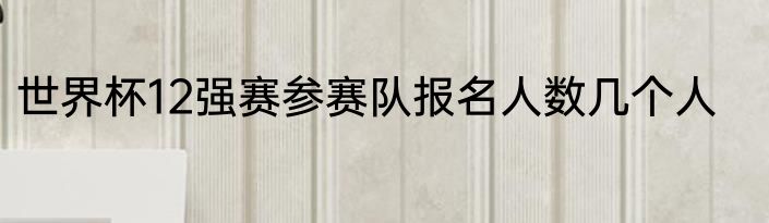 世界杯12强赛参赛队报名人数几个人