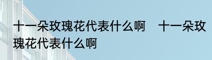 十一朵玫瑰花代表什么啊　十一朵玫瑰花代表什么啊
