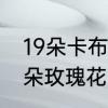 19朵卡布奇诺玫瑰花语　有谁知道19朵玫瑰花的含义吗
