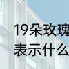 19朵玫瑰花代表什么意思　19朵玫瑰表示什么含义