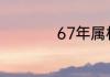 67年属相是属什么的