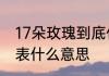 17朵玫瑰到底什么意思　17朵玫瑰代表什么意思