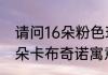 请问16朵粉色玫瑰代表什么意思　16朵卡布奇诺寓意