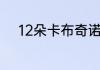 12朵卡布奇诺玫瑰代表什么意思