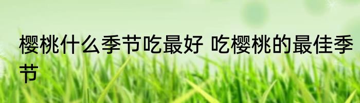 樱桃什么季节吃最好 吃樱桃的最佳季节