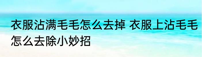 衣服沾满毛毛怎么去掉 衣服上沾毛毛怎么去除小妙招