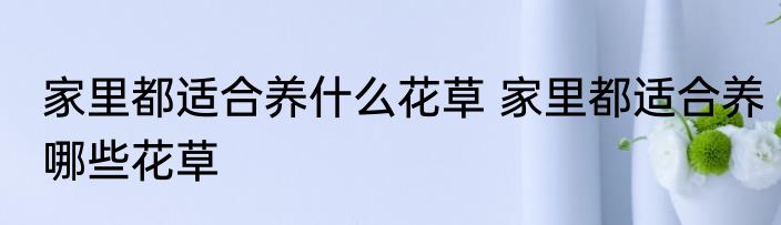 家里都适合养什么花草 家里都适合养哪些花草