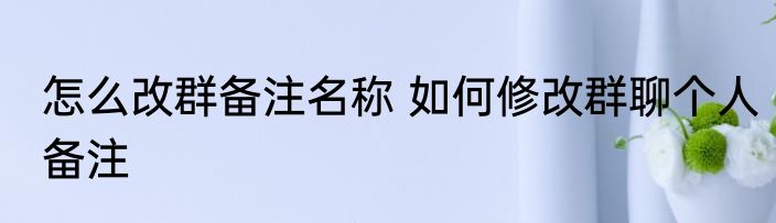 怎么改群备注名称 如何修改群聊个人备注