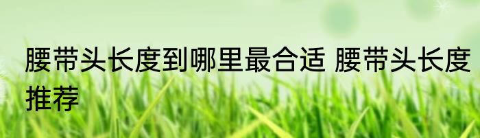 腰带头长度到哪里最合适 腰带头长度推荐
