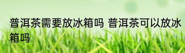 普洱茶需要放冰箱吗 普洱茶可以放冰箱吗