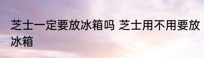 芝士一定要放冰箱吗 芝士用不用要放冰箱