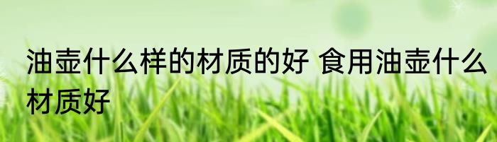 油壶什么样的材质的好 食用油壶什么材质好