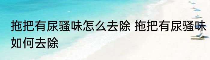 拖把有尿骚味怎么去除 拖把有尿骚味如何去除