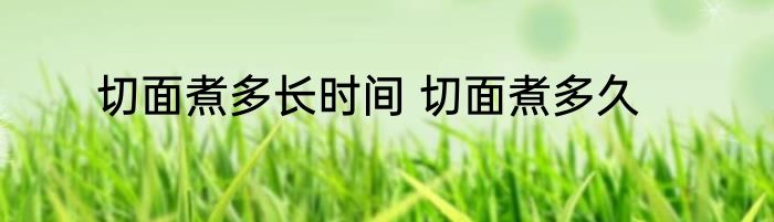 切面煮多长时间 切面煮多久