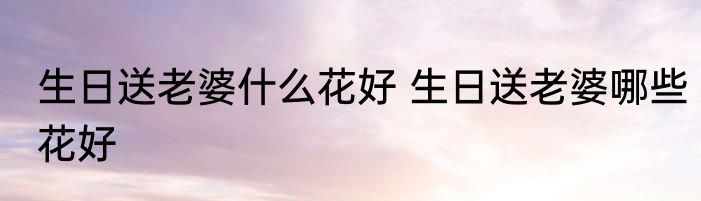 生日送老婆什么花好 生日送老婆哪些花好