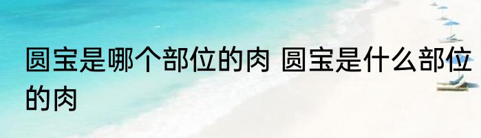 圆宝是哪个部位的肉 圆宝是什么部位的肉