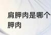 肩胛肉是哪个部位 什么位置的肉是肩胛肉