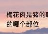 梅花肉是猪的哪个部位示 梅花肉在猪的哪个部位