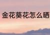 金花葵花怎么晒干 金花葵花如何晒干