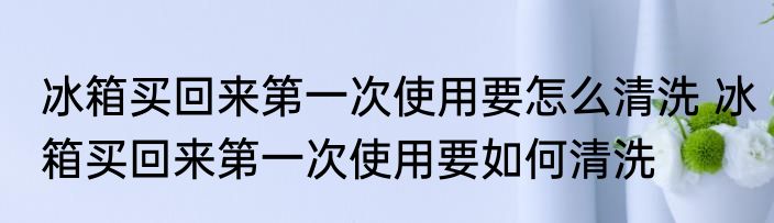 冰箱买回来第一次使用要怎么清洗 冰箱买回来第一次使用要如何清洗