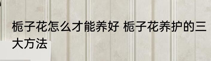 栀子花怎么才能养好 栀子花养护的三大方法