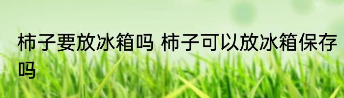 柿子要放冰箱吗 柿子可以放冰箱保存吗