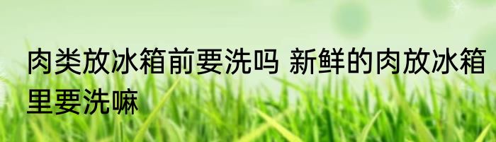 肉类放冰箱前要洗吗 新鲜的肉放冰箱里要洗嘛