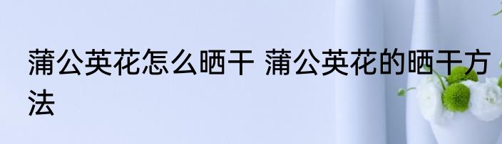 蒲公英花怎么晒干 蒲公英花的晒干方法
