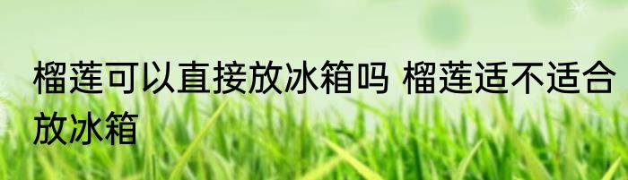 榴莲可以直接放冰箱吗 榴莲适不适合放冰箱