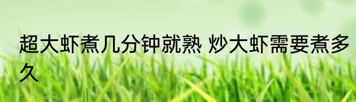 超大虾煮几分钟就熟 炒大虾需要煮多久