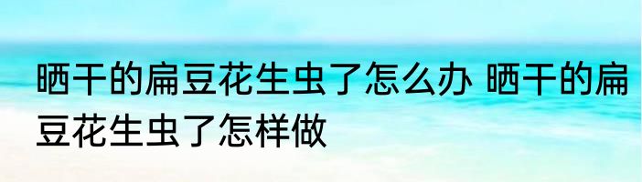 晒干的扁豆花生虫了怎么办 晒干的扁豆花生虫了怎样做