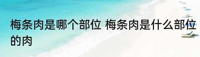 梅条肉是哪个部位 梅条肉是什么部位的肉