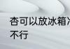 杏可以放冰箱冷冻吗 杏放冰箱冷冻行不行