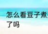 怎么看豆子煮熟了吗 如何看豆子煮熟了吗