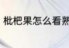 枇杷果怎么看熟了 枇杷果如何看熟了