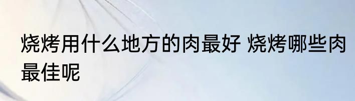 烧烤用什么地方的肉最好 烧烤哪些肉最佳呢