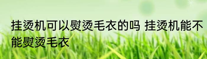 挂烫机可以熨烫毛衣的吗 挂烫机能不能熨烫毛衣