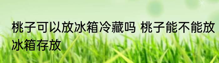 桃子可以放冰箱冷藏吗 桃子能不能放冰箱存放