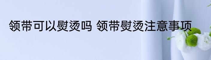 领带可以熨烫吗 领带熨烫注意事项