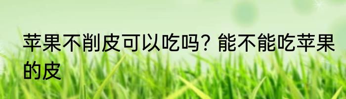 苹果不削皮可以吃吗? 能不能吃苹果的皮