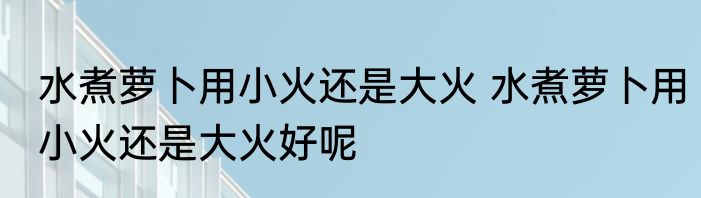 水煮萝卜用小火还是大火 水煮萝卜用小火还是大火好呢