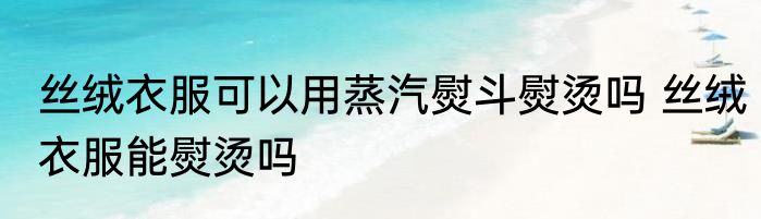 丝绒衣服可以用蒸汽熨斗熨烫吗 丝绒衣服能熨烫吗