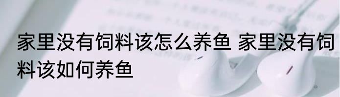 家里没有饲料该怎么养鱼 家里没有饲料该如何养鱼