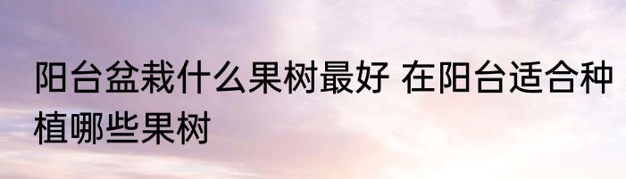 阳台盆栽什么果树最好 在阳台适合种植哪些果树