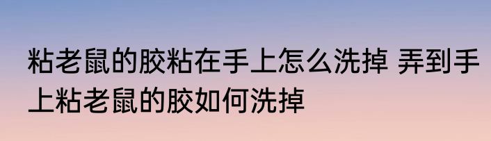 粘老鼠的胶粘在手上怎么洗掉 弄到手上粘老鼠的胶如何洗掉