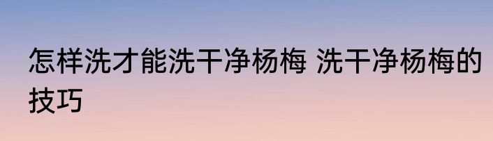 怎样洗才能洗干净杨梅 洗干净杨梅的技巧