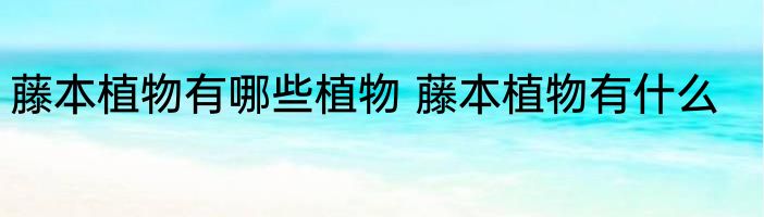藤本植物有哪些植物 藤本植物有什么