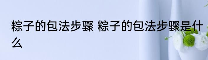 粽子的包法步骤 粽子的包法步骤是什么