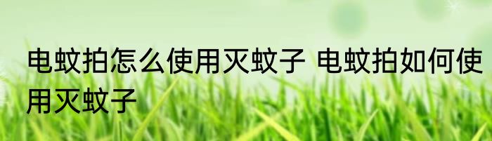 电蚊拍怎么使用灭蚊子 电蚊拍如何使用灭蚊子