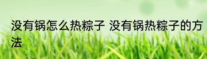 没有锅怎么热粽子 没有锅热粽子的方法